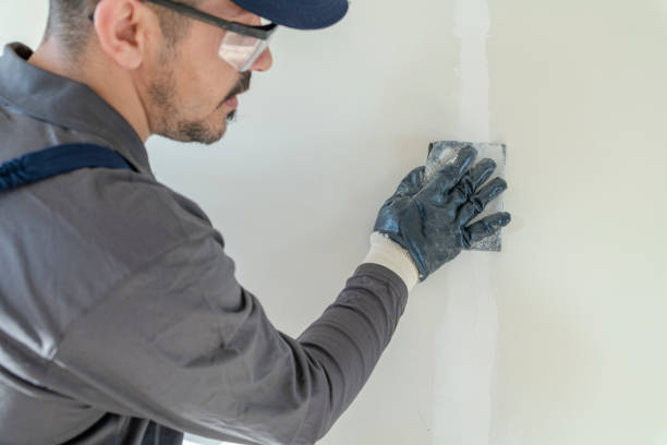 Best Wallpaper Removal and Painting  in Draper, UT